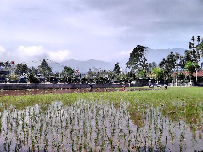 Aries Biru Resort Cisarua Buitenkant foto